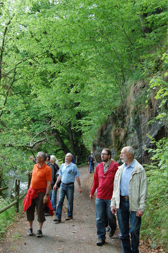 Rundwanderweg in Schellenberg